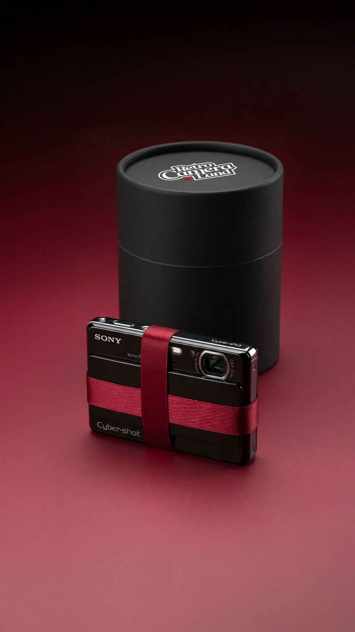 Canon PowerShot A480 Review: Y2K Compact Camera with AA Batteries