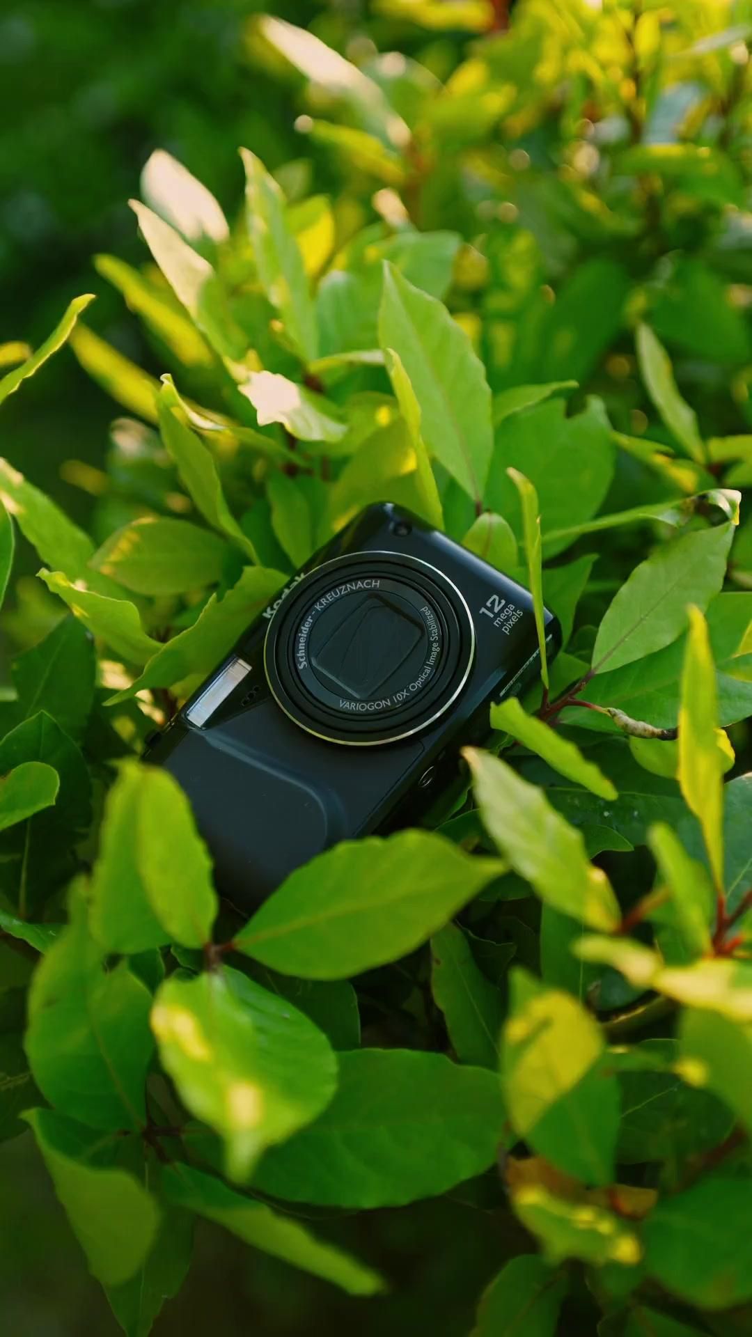 Why Are Y2K Digital Cameras Back? CCD Magic