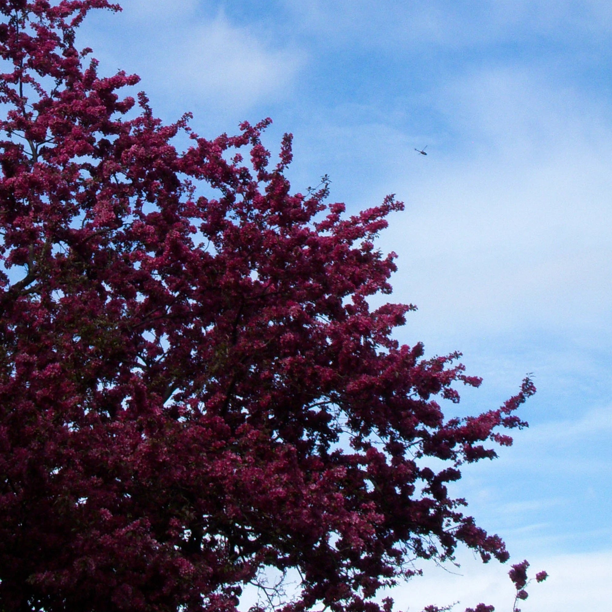 Fujifilm Finepix XP60 ''Waterproof''