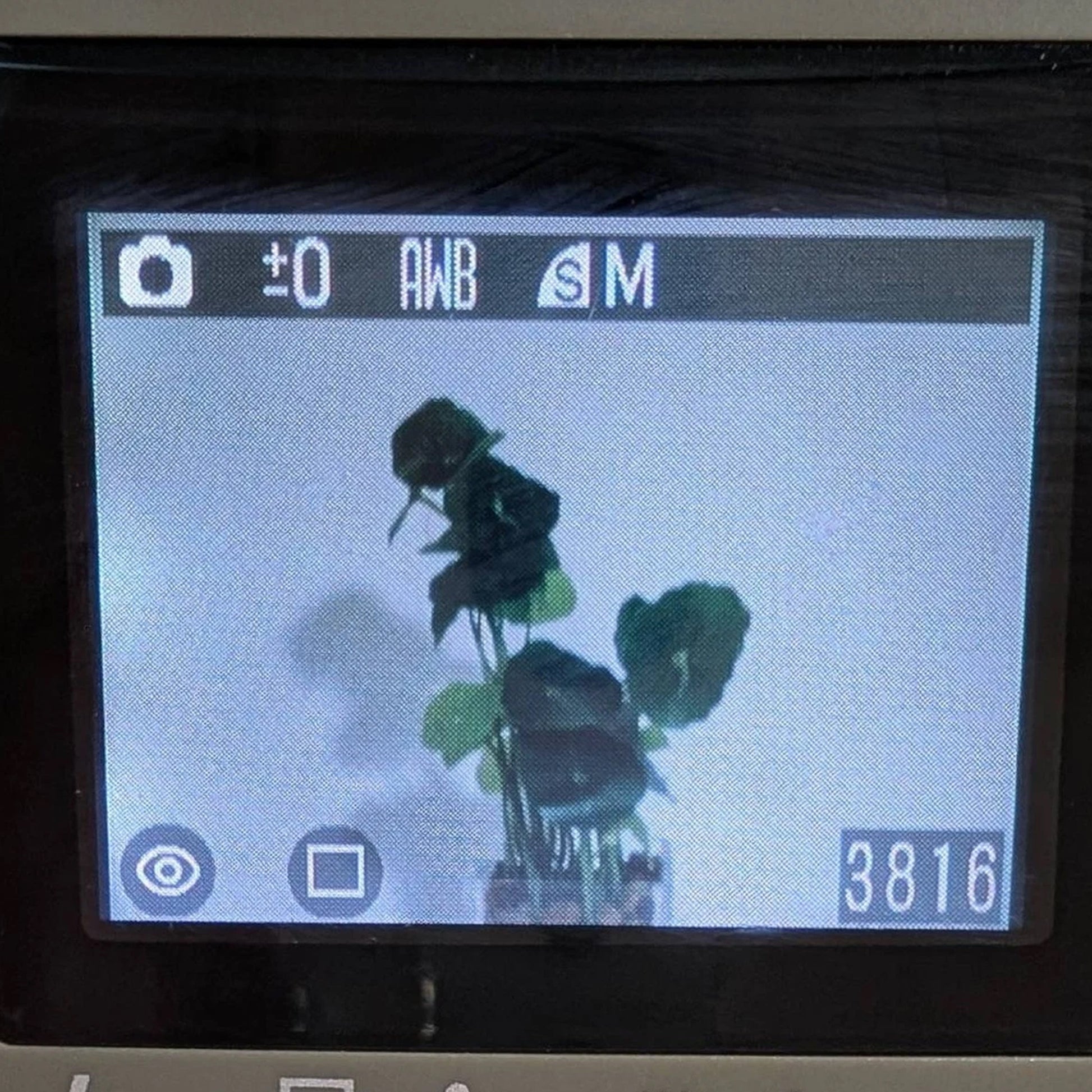 Canon PowerShot A20