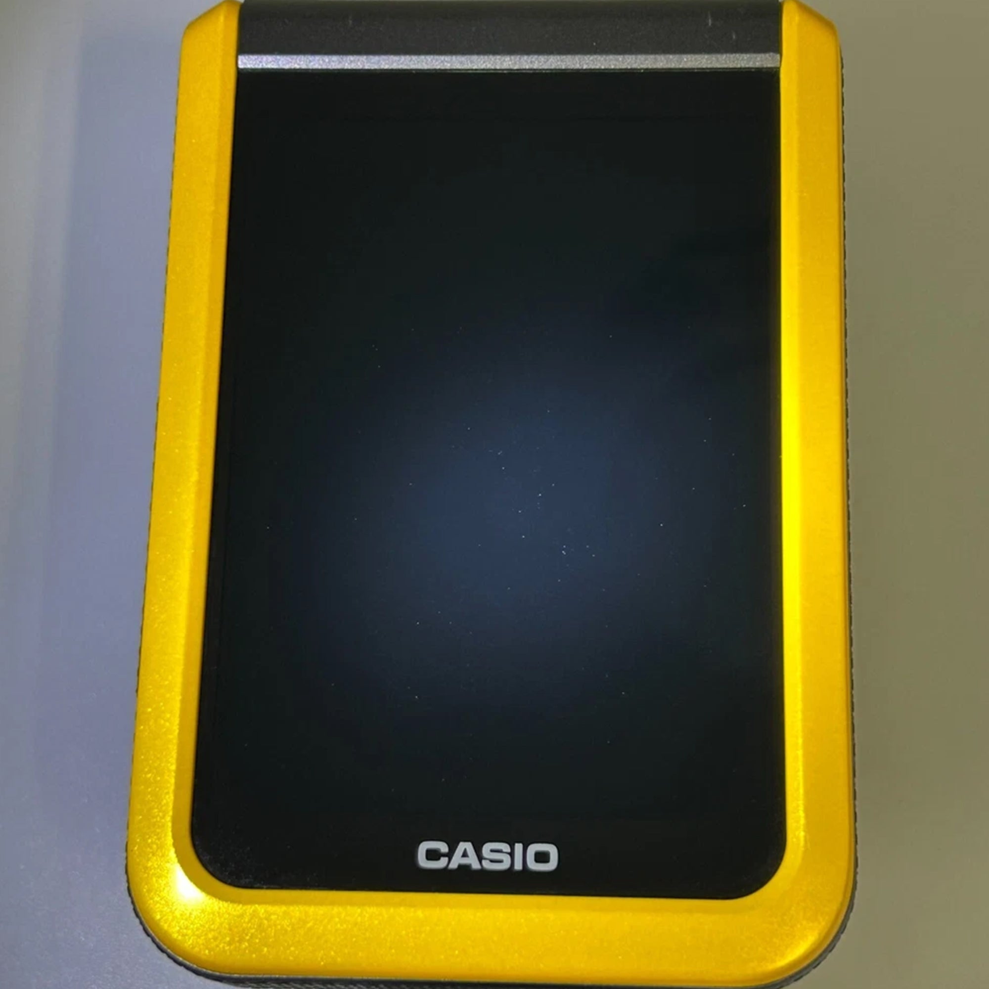 カシオ エクシリム EX-FR100CT |レトロカメラランド – Retro Camera Land