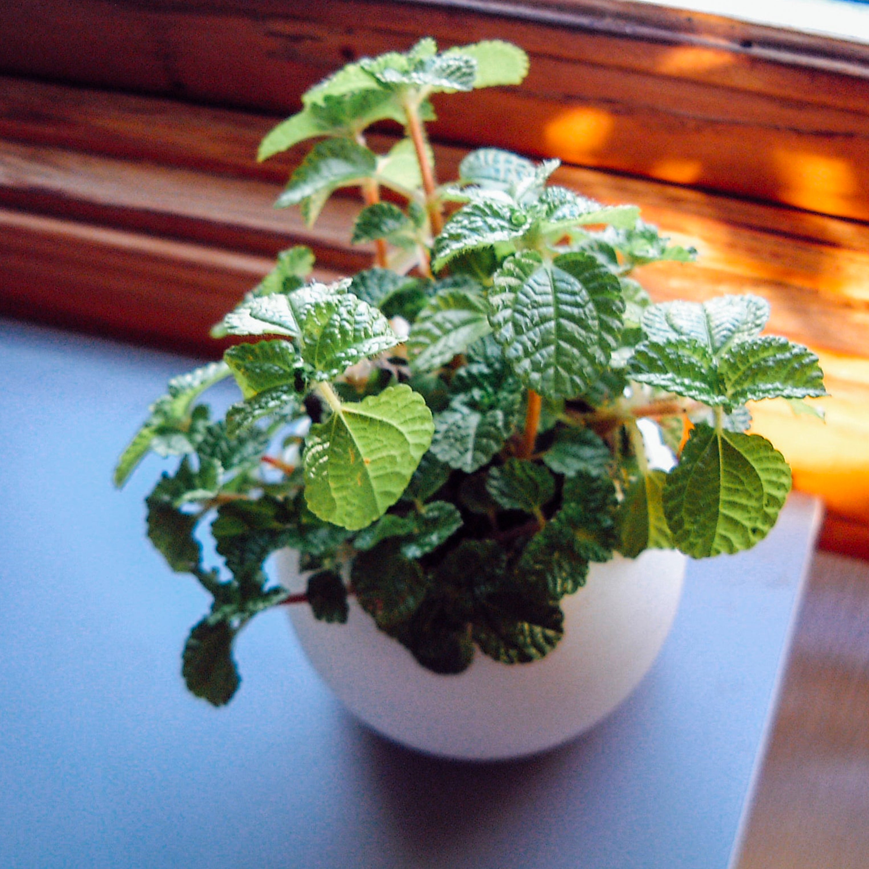 Fujifilm FinePix 4700 Zoom