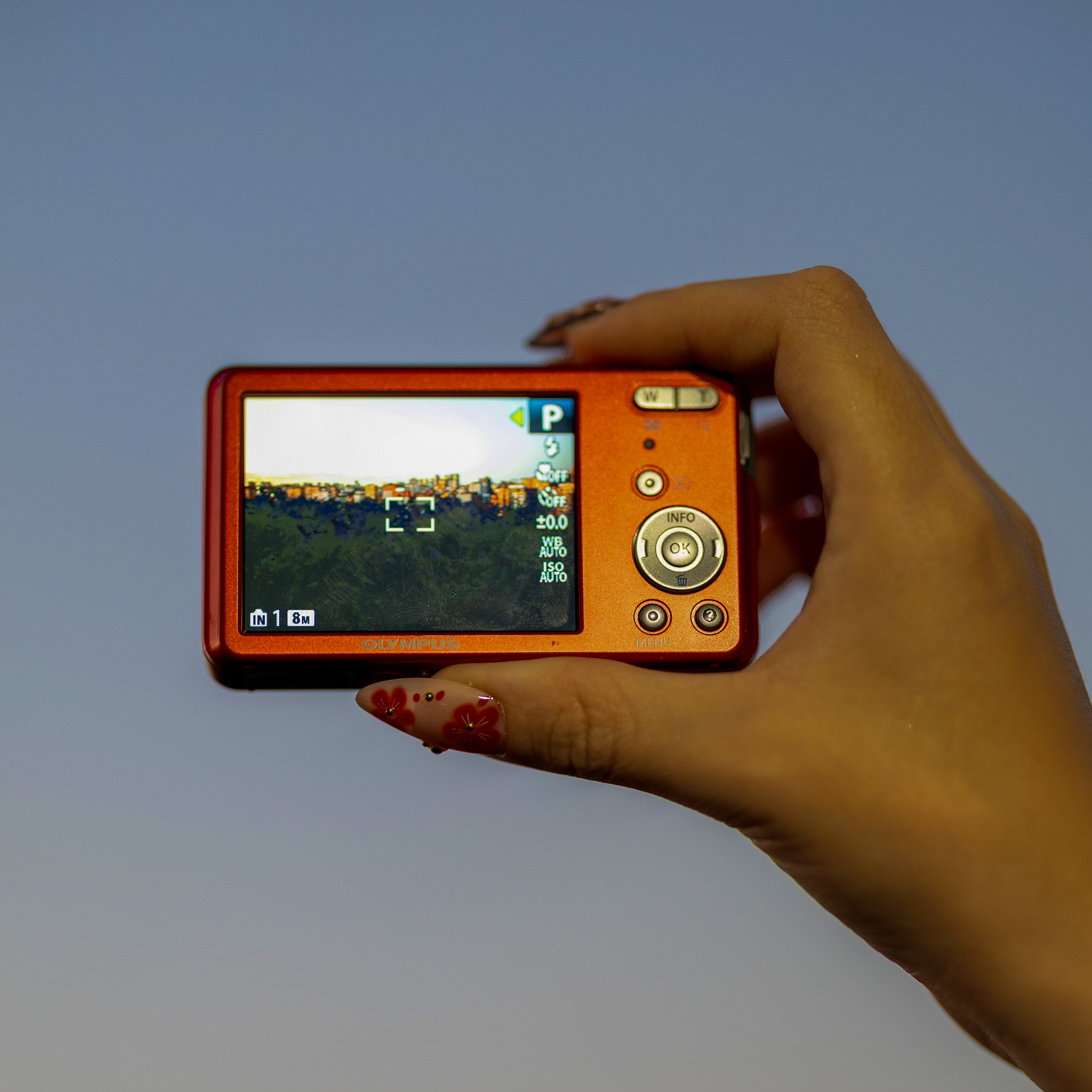 Olympus VG-110 ekran detayı | RetroCameraLand