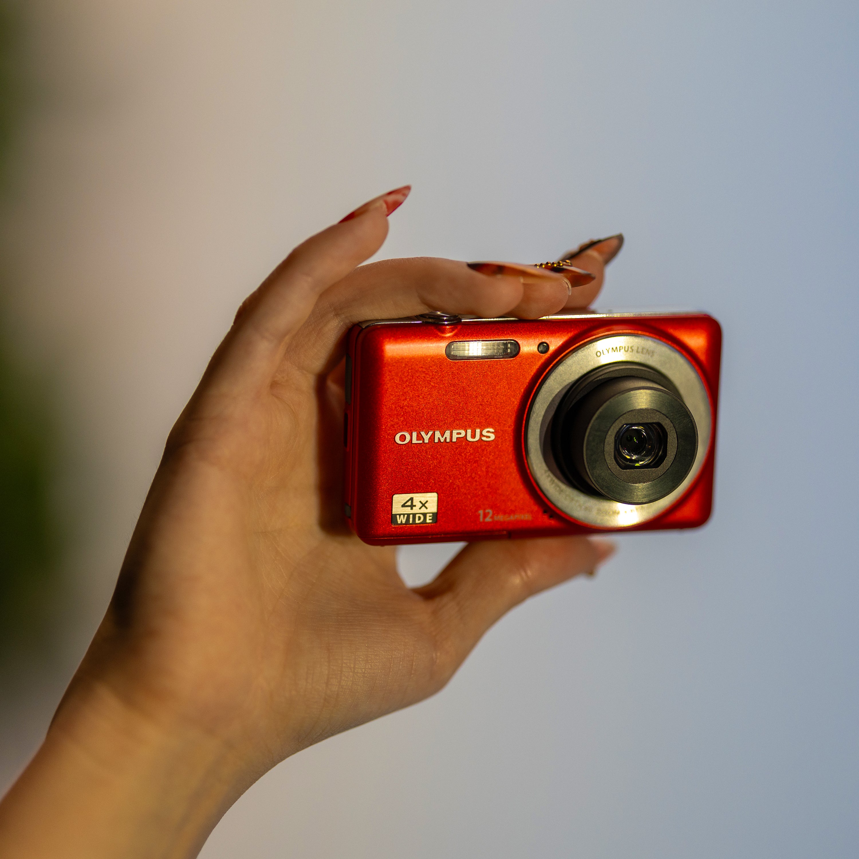 Olympus VG-110 aksesuar | RetroCameraLand