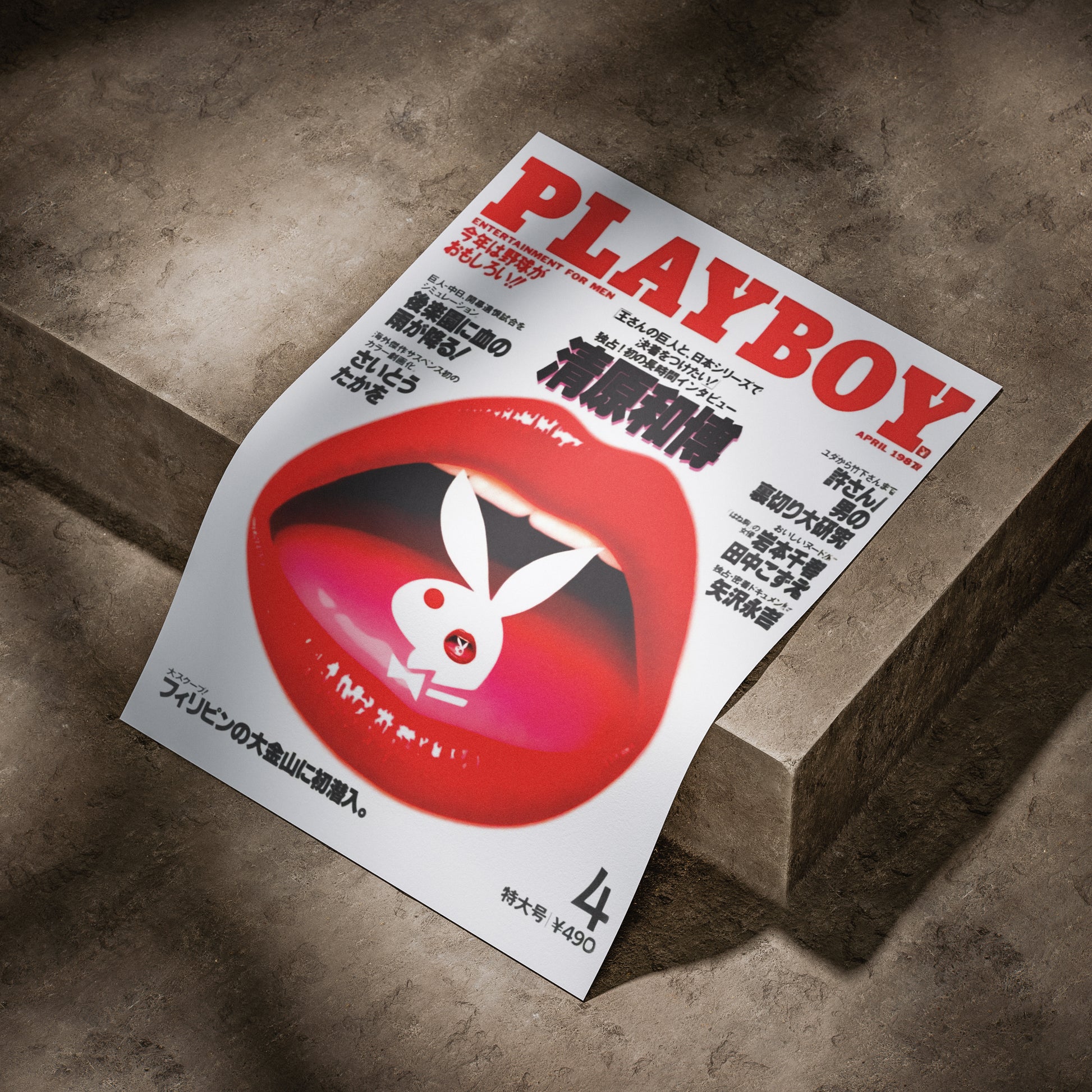 Playboy 1987 A3 Poster