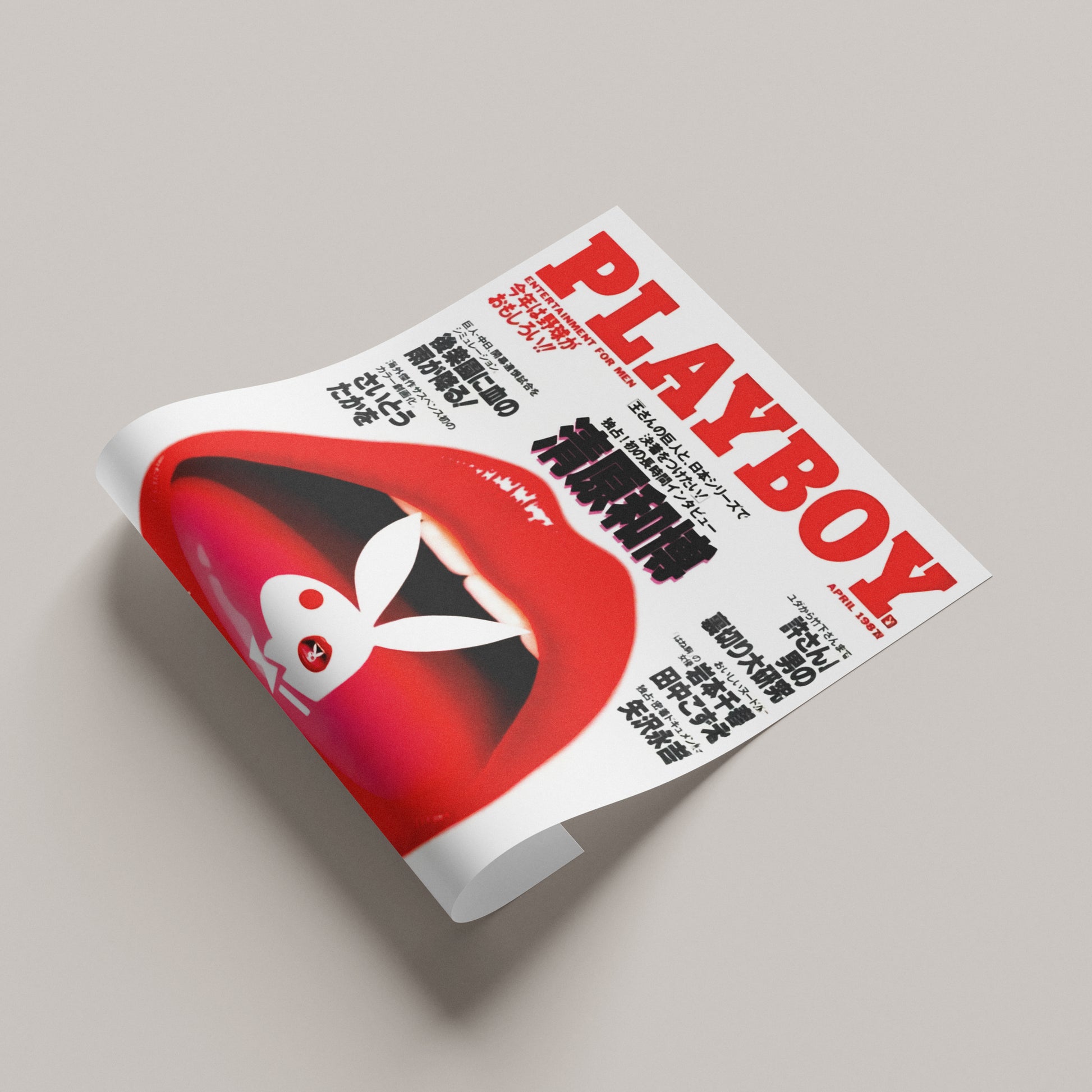 Playboy 1987 A3 Poster