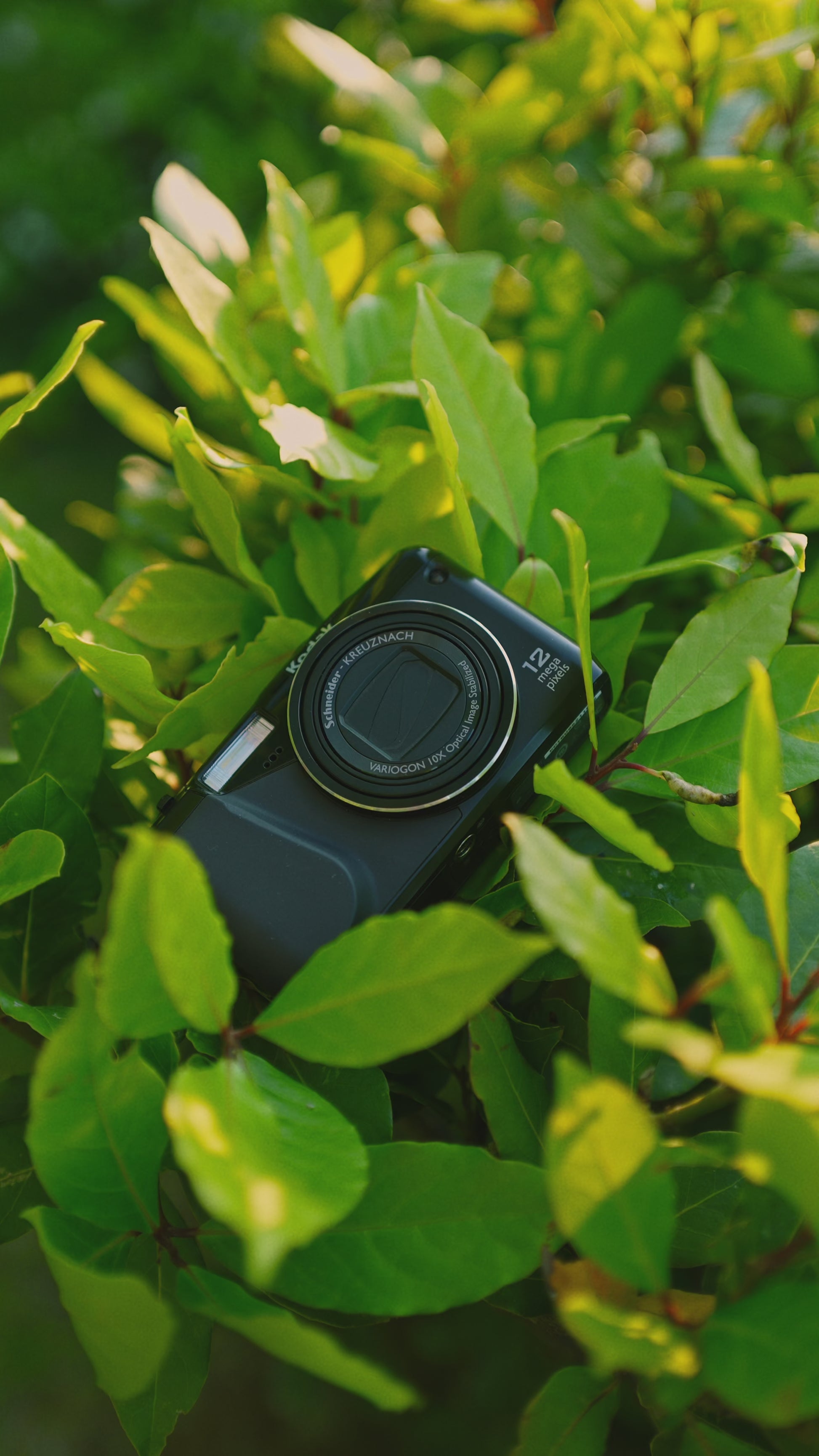 Kodak EasyShare Z950 | Dijital Fotoğraf Makinesi