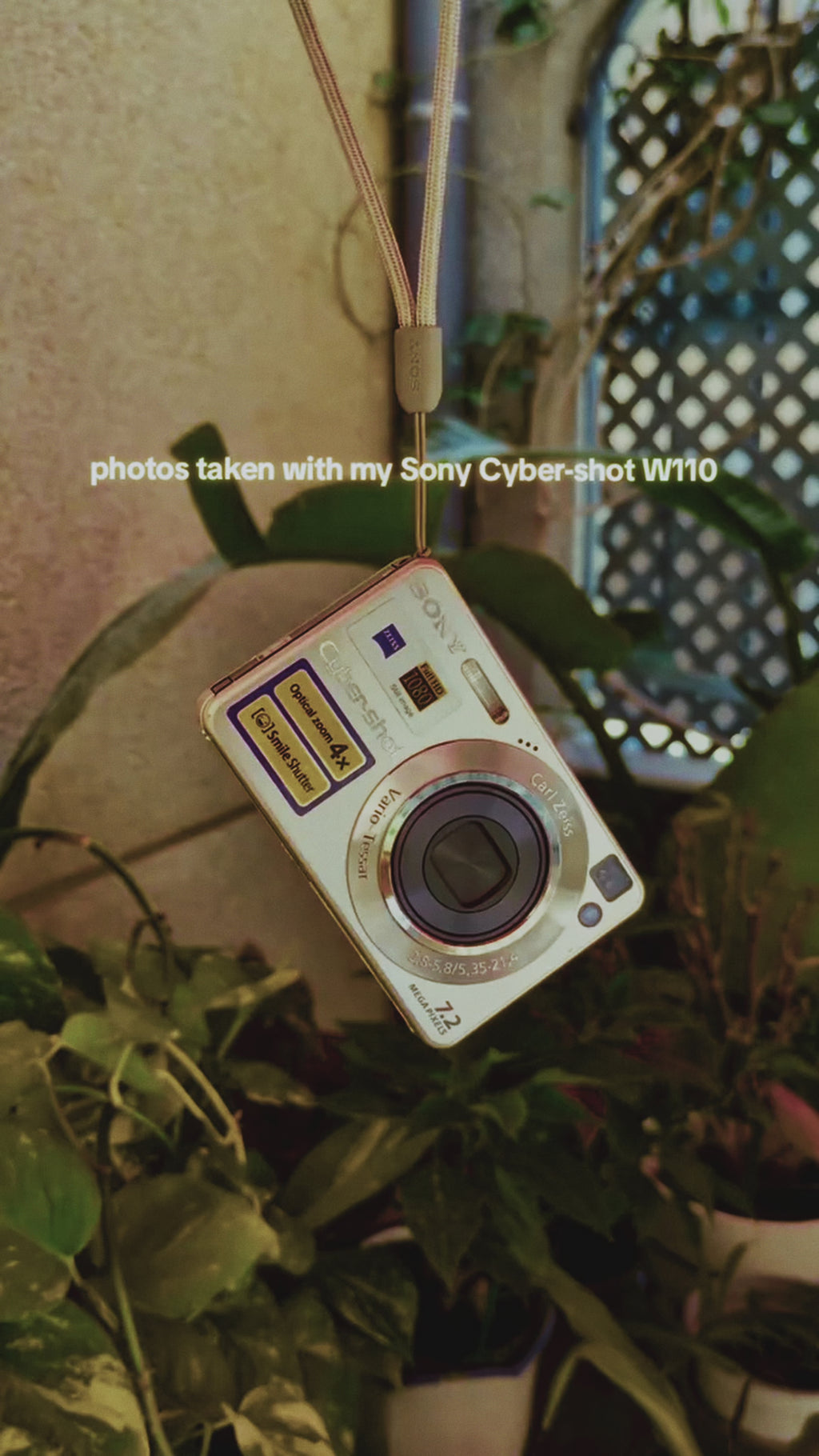 Sony Cyber-shot DSC-W110