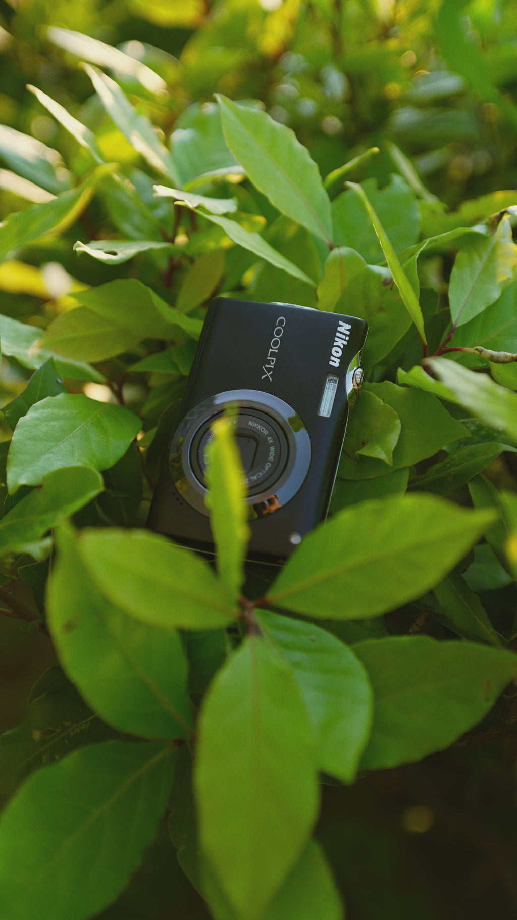 Nikon Coolpix S4000 | Dijital Fotoğraf Makinesi
